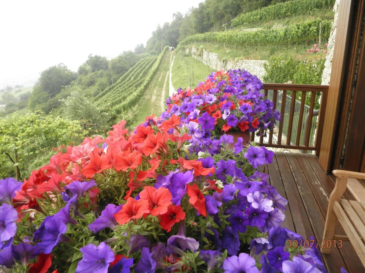 B&B Al Ghiro Villa Lagarina Pokój zdjęcie